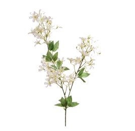 FLOWER SPRAY X 2 CREAM