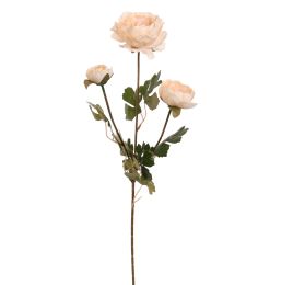 RANUNCULUS 60CM PEACH