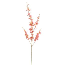 ONCIDIUM 98CM PINK