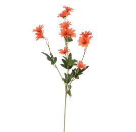 DAISY SPRAY 65CM CORAL