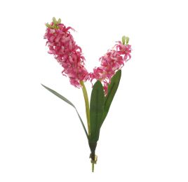 HYACINT X 2 W/3 LEAVES 38CM BEAUTY