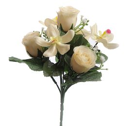 ROSEBUD ORCHID BUSH X7 25CM CREAM