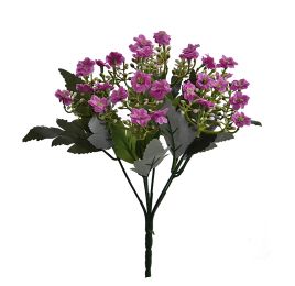 KALANCHOE BUSH X 6 27CM LAVENDER