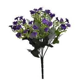 KALANCHOE BUSH X 6 27CMPURPLE