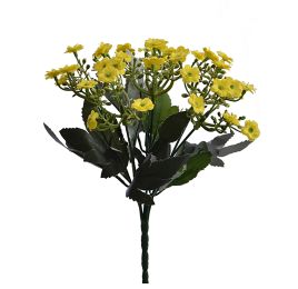 KALANCHOE BUSH X 6 27CM YELLOW