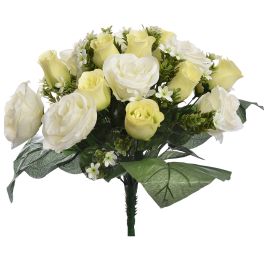 ROSE/ROSEBUD X36 BUSH 42CM CREAM