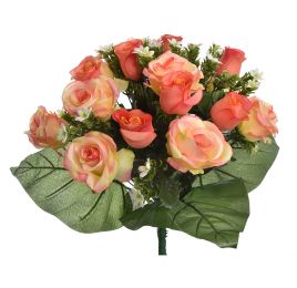 ROSE/ROSEBUD X36 BUSH 42CM SALMON ORANGE