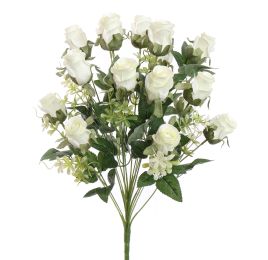 ROSEBUD X18 BUSH 50CM CREAM