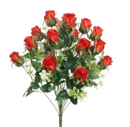 ROSEBUD X18 BUSH 50CM ORANGE