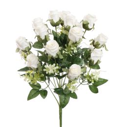 ROSEBUD X18 BUSH 50CM WHITE