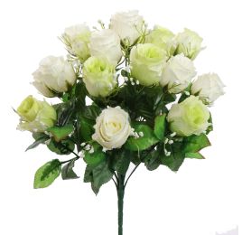 ROSEBUD X18 BUSH 42CM CREAM GREEN
