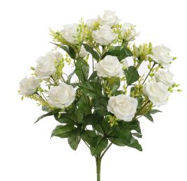 ROSE X18 BUSH 51CM CREAM
