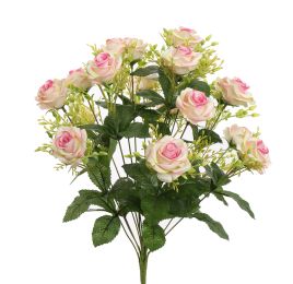 ROSE X18 BUSH 51CM PINK