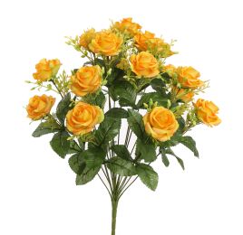 ROSE X18 BUSH 51CM YELLOW
