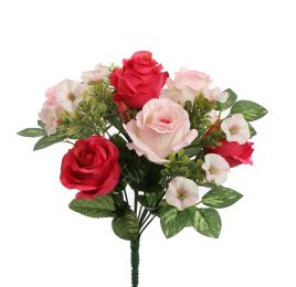 ROSE X13 BUSH 33CM BEAUTY