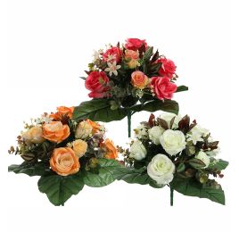 ROSE X24 BUSH 38CM ASSORTED