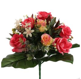 ROSE X24 BUSH 38CM BEAUTY