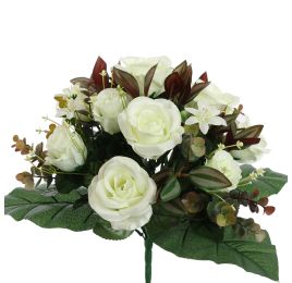 ROSE X24 BUSH 38CM CREAM