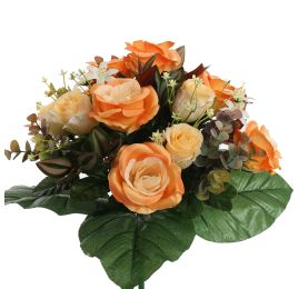 ROSE X24 BUSH 38CM ORANGE