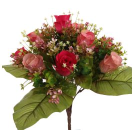 ROSE X22 BUSH 38CM BEAUTY