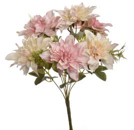 DAHLIA X7 BUSH 40CM CREAM PINK