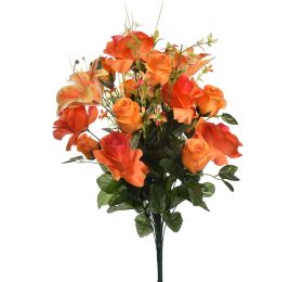 ROSE LILY X28 BUSH 62CM ORANGE