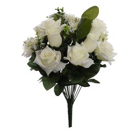 ROSE SNOWBALL X24 BUSH 44CM CREAM