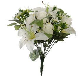 ROSEBUD TIGERLILY X13 BUSH 37CM CREAM