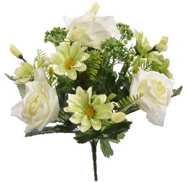 ROSE/DAISY X13 BUSH 34CM CREAM