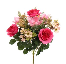 CYMBIDIUM ROSE BUSH 50CM BEAUTY