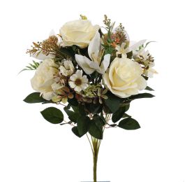 CYMBIDIUM ROSE BUSH 50CM CREAM