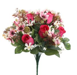 ROSE MIXED BUSH 40CM BEAUTY