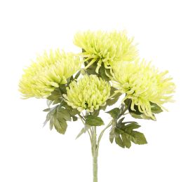 SPIDER MUM BUSH 55CM GREEN