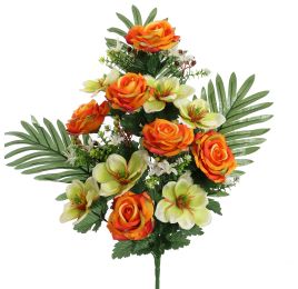 ROSE MAGNOLIA X18 BUSH 60CM ORANGE