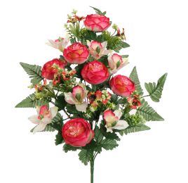 ROSE CYMBIDIUM X18 BUSH 60CM BEAUTY