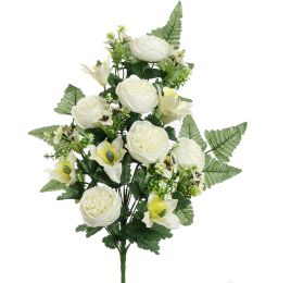 ROSE CYMBIDIUM X18 BUSH 60CM CREAM