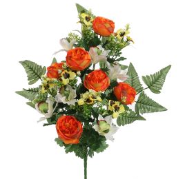 ROSE CYMBIDIUM X18 BUSH 60CM ORANGE