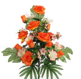 ROSE LILY X24 BUSH 62CM ORANGE