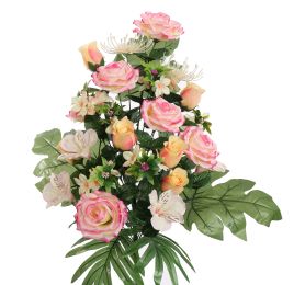 ROSE LILY X24 BUSH 62CM PINK