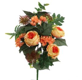 ROSE ALLIUM X12 BUSH 50CM ORANGE