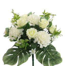 ZINNIA ROSE X18 BUSH 36CM CREAM