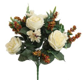 ROSE X18 BUSH 45CM CREAM