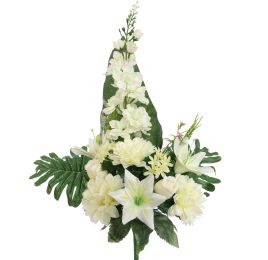 DAHLIA DELPHINIUM X14 BUSH 60CM CREAM