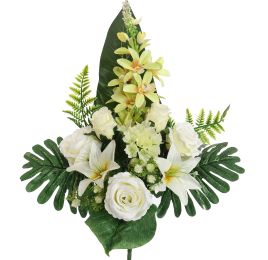 ROSE CYMBIDIUM X14 BUSH 60CM CREAM