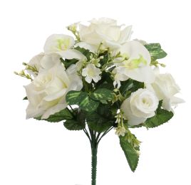 ROSE ORCHID X13 BUSH 34CM CREAM