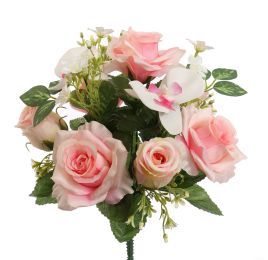ROSE ORCHID X13 BUSH 34CM SALMON