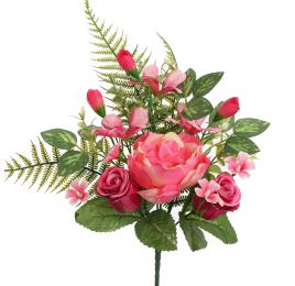 ROSE PEONY X6 BUSH 37CM BEAUTY