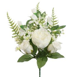 ROSE PEONY X6 BUSH 37CM CREAM