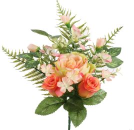 ROSE PEONY X6 BUSH 37CM ORANGE