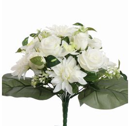 50210084-cr_0.jpg